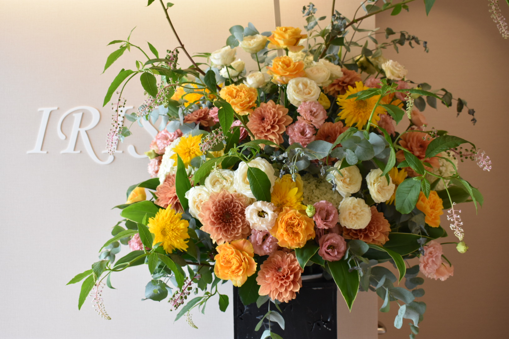 博多南駅近くにエステサロンirsオープン 熊本物見櫓